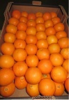 minneola4