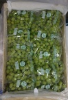 Thompson Seedless Chile