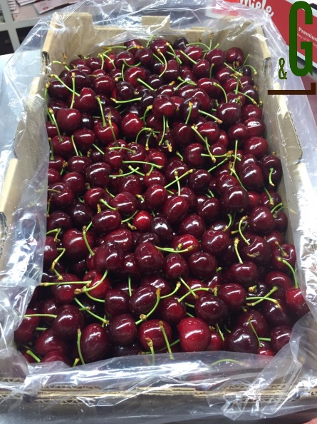 Cherry 1 2016-11-24.jpg