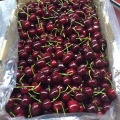 Cherry 1 2016-11-24.jpg