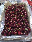 Cherries Argentina