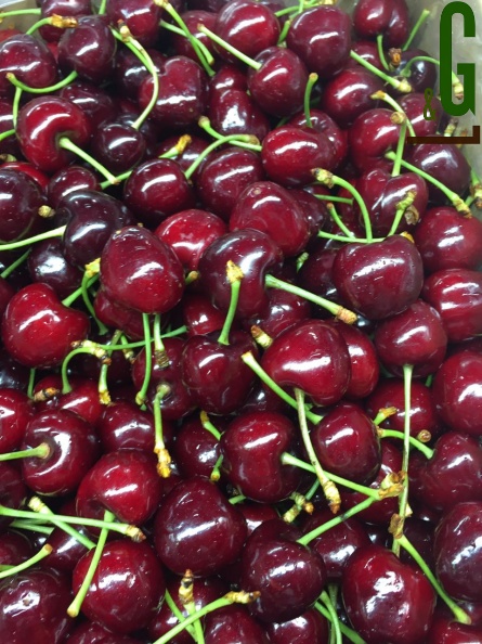 Cherry 4 2016-11-24.jpg