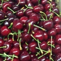 Cherry 4 2016-11-24