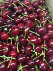 Cherry 4 2016-11-24