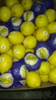 Lemon Argeintina