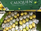 lemon cauquen 2